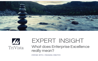 Download: EXPERT INSIGHT – What does Enterprise Excellence really mean?