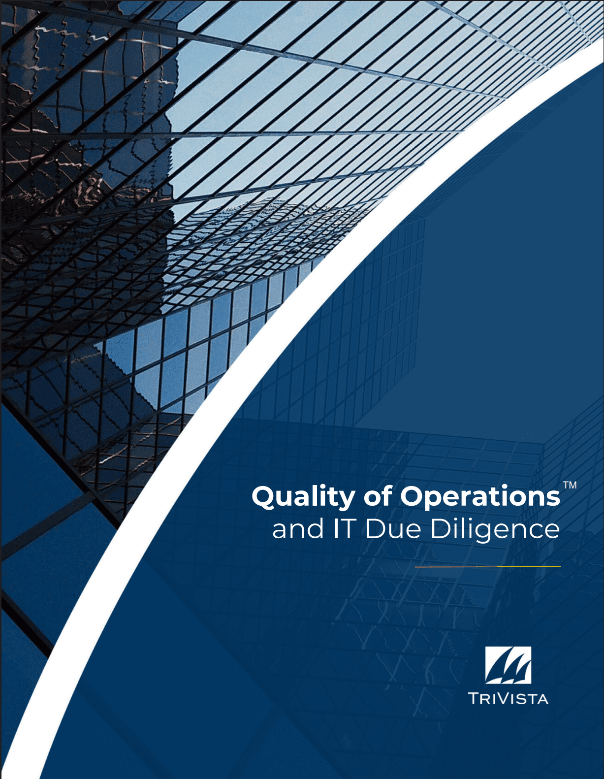 Download: Whitepaper: A Brief Introduction to Quality of Operations™ and IT Diligence