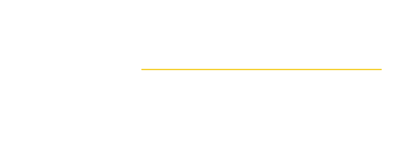 TriVista logo with three abstract white sails, the word "TRIVISTA," a yellow line, and the tagline "20 Years of Excellence" on a light background.