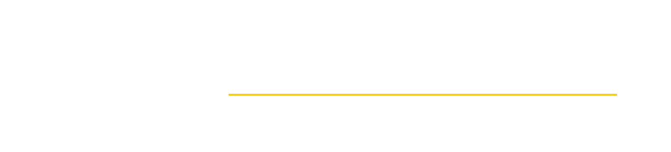 TriVista logo with three abstract sail shapes, the word "TriVista," a yellow line, and the text "20 Years of Excellence" on a light background.